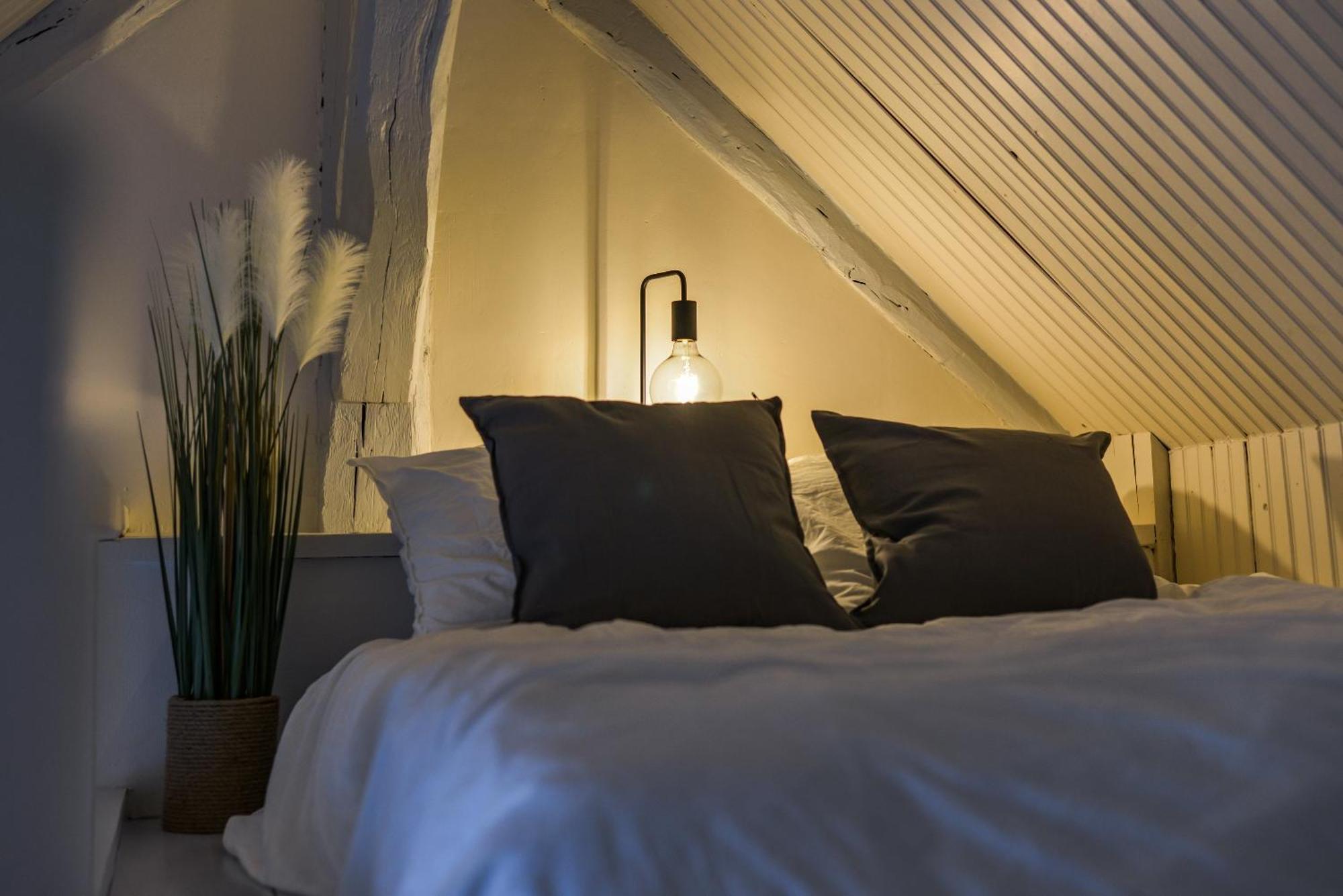 Le Saint-Martin - Hypercentre - Netflix Apartment Тур Екстериор снимка